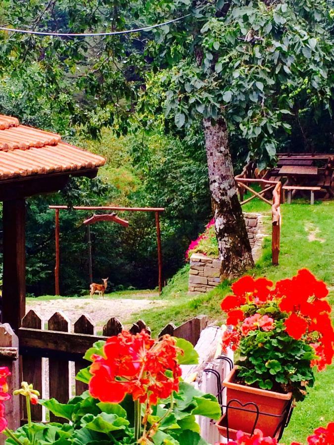 B&B La Presa Molino del Pallone Zewnętrze zdjęcie