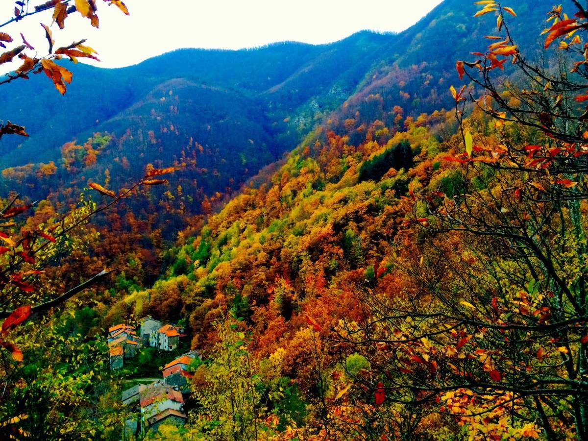 B&B La Presa Molino del Pallone Zewnętrze zdjęcie